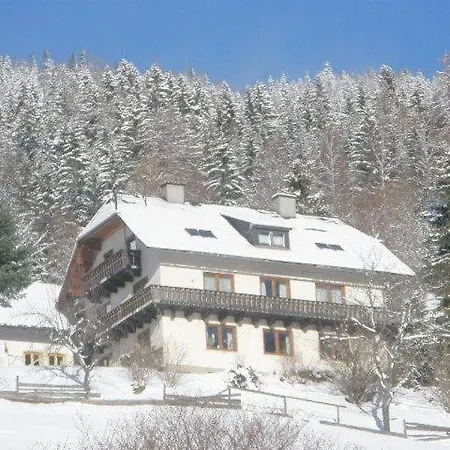 Pensjonat Wolfingerhof